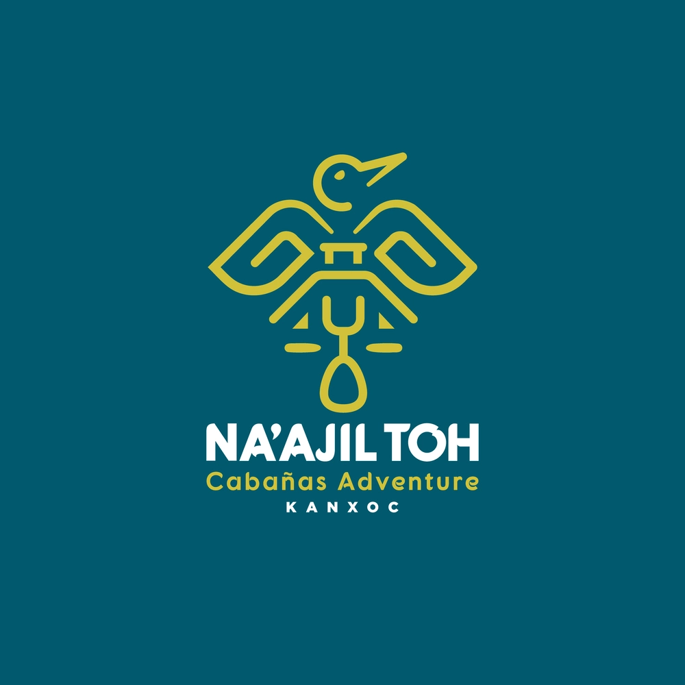 logo naajil toh variante 1