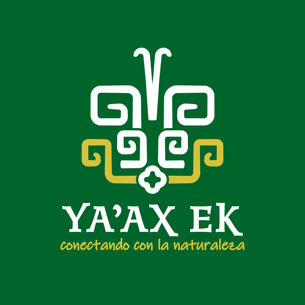 logo yaax ek variante 1